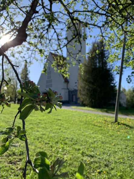 valkoinen kirkko silmullaan olevien koivunoksien lomassa