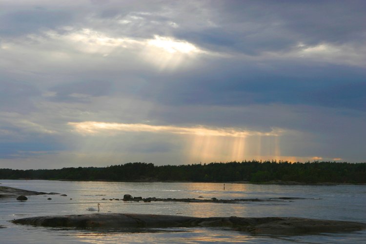 kirkastussunnuntai