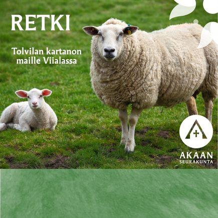 Lammas ja karitsa laitumella, tekstinä Retki Tolvilan kartanon maille
